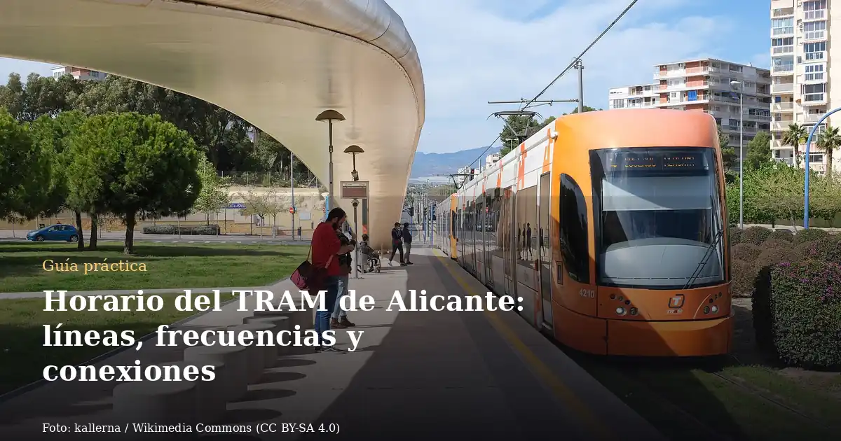 Horario del TRAM de Alicante: líneas, frecuencias y conexiones